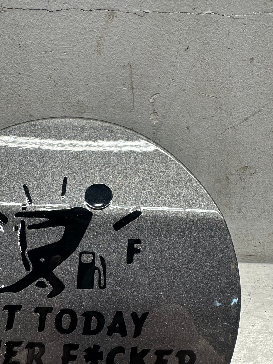 1014 Ford Mustang GT Fuel Door Gas Lid Tank Cover OEM 32