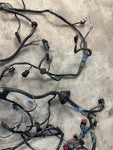 99-04 Ford Mustang Interior Body Wiring Harness OEM #66