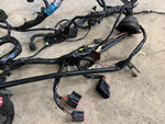 99-04 Ford Mustang Interior Body Wiring Harness OEM 3R33-14A005-AB, 3R33-19B113-BA #52