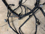 99-04 Ford Mustang Interior Body Wiring Harness OEM 2R33-14A005-AF, 2R33-19B113-BA #54