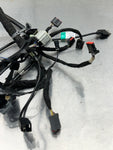 10-14 Ford Mustang GT Instrument Dash Wiring Harness OEM 8R3T-14401-CC #33